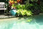 Tea Tree Gullyswimming-pool-landscaping-3.jpg; ?>